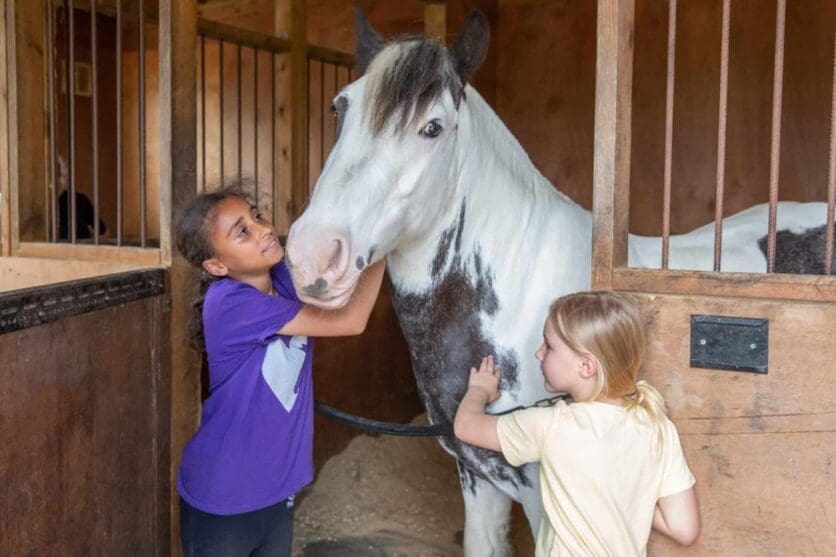 ealing riding school horse riding london