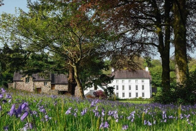 grove of narbeth wales