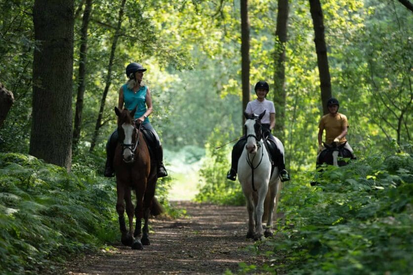 wimbledon village stables london