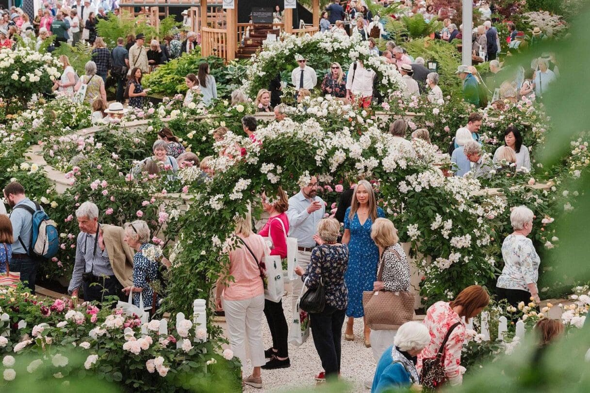 chelsea flower show