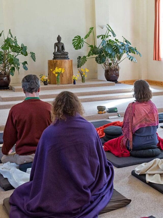 gaia house uk wellness retreats