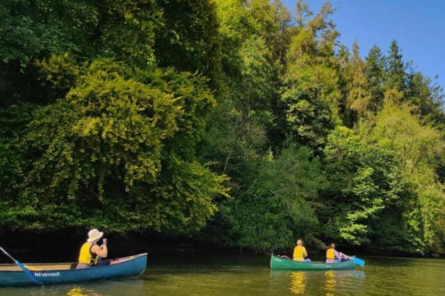 sharpham trust uk wellness retreats