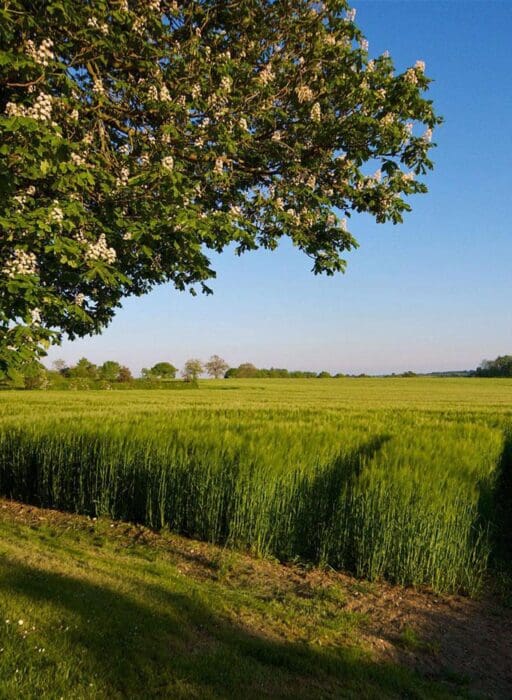 detox barn suffolk uk wellness retreats