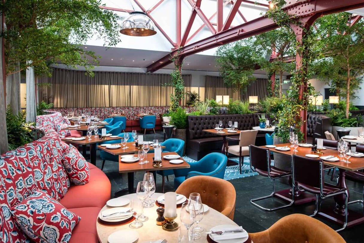 bluebird chelsea