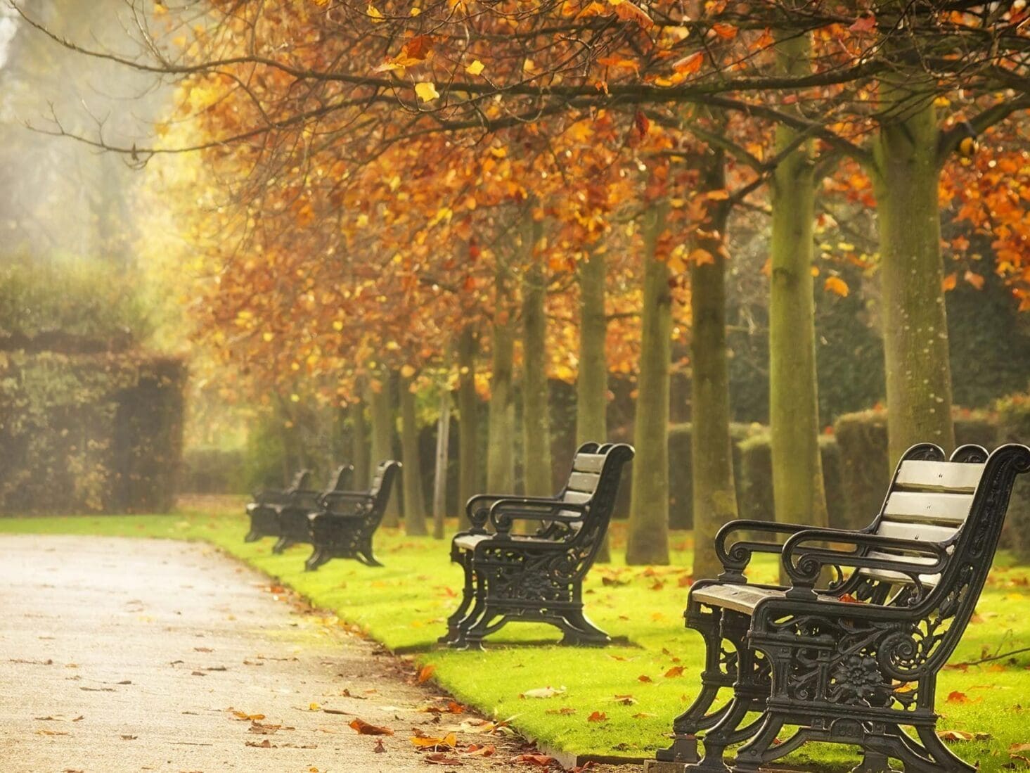 best london park walks