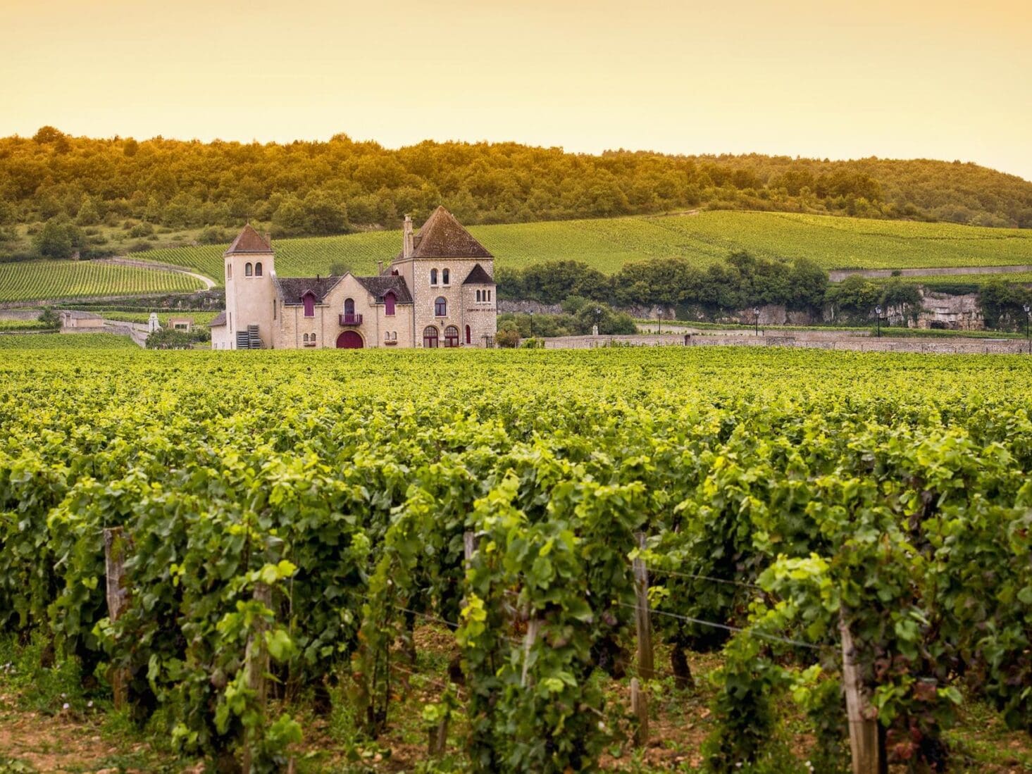 How to start a wine cellar