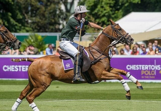 Chestertons Polo in the Park, Fulham