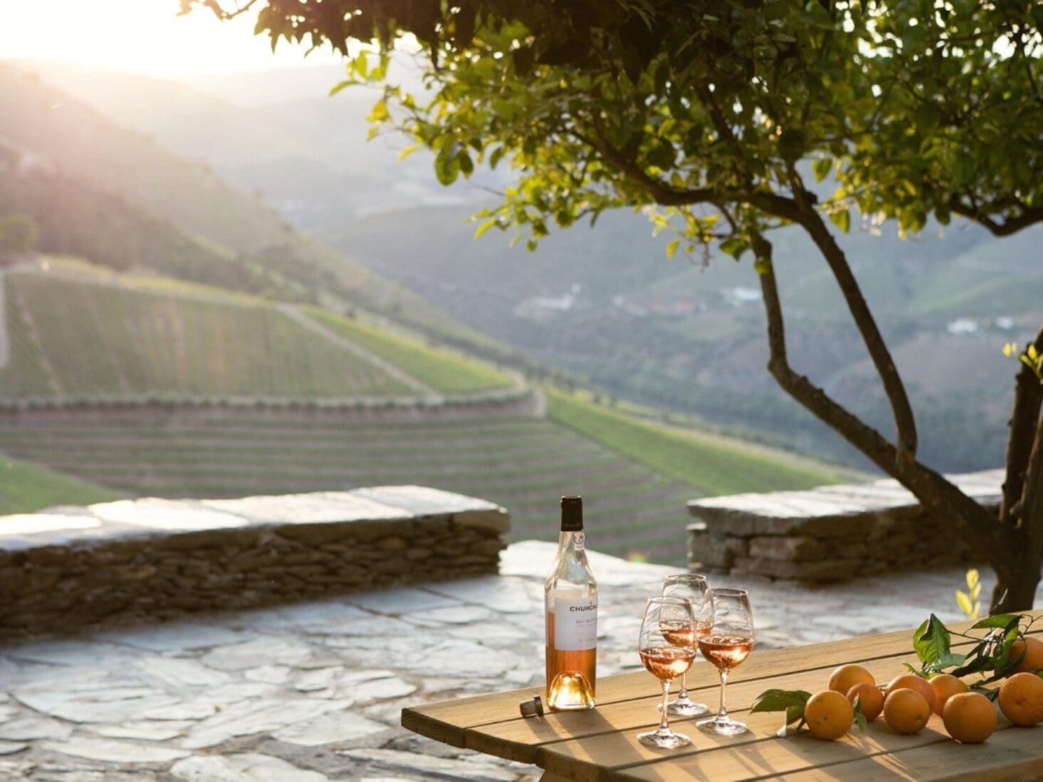 Churchill's port turns 40 visit Porto 06