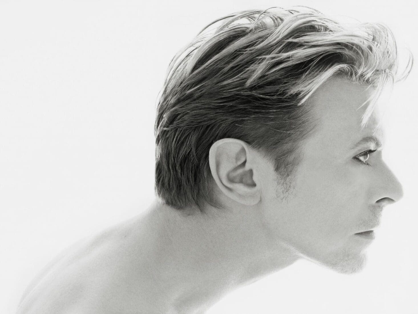 David Bowie Double Pink Profile