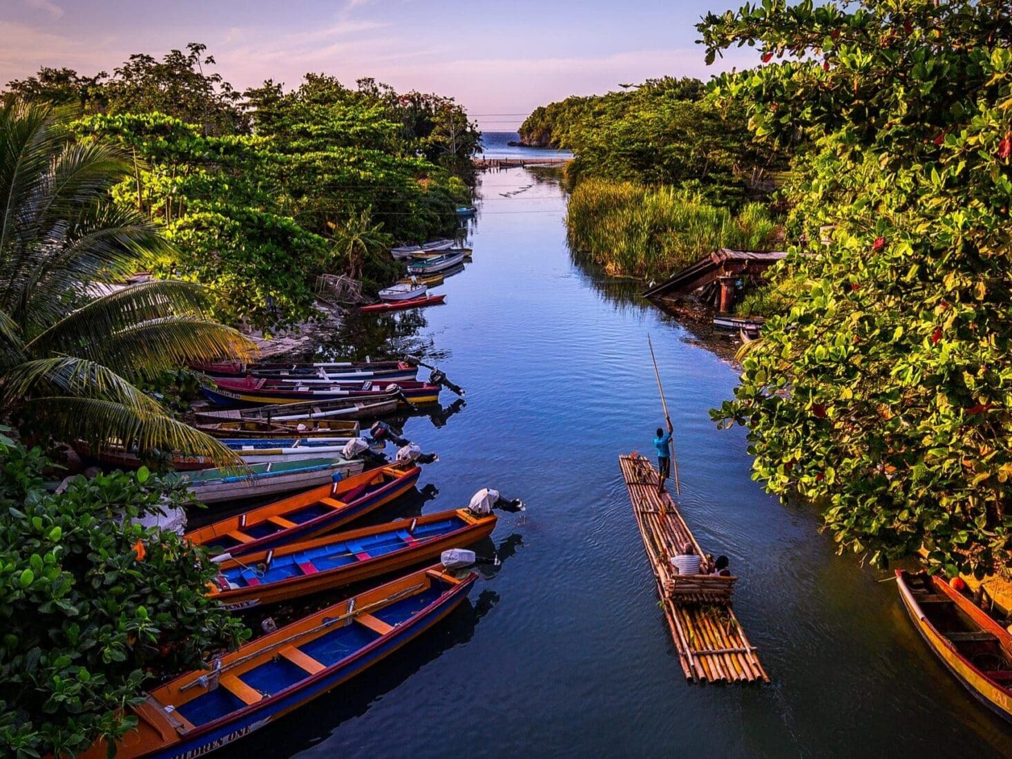 Explore wild Jamaica