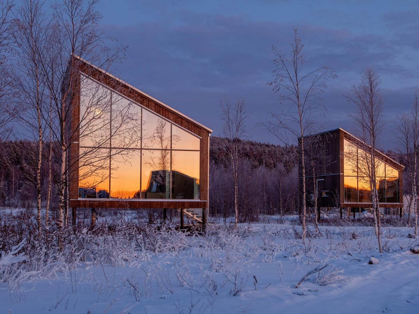 Wellness trends 2020