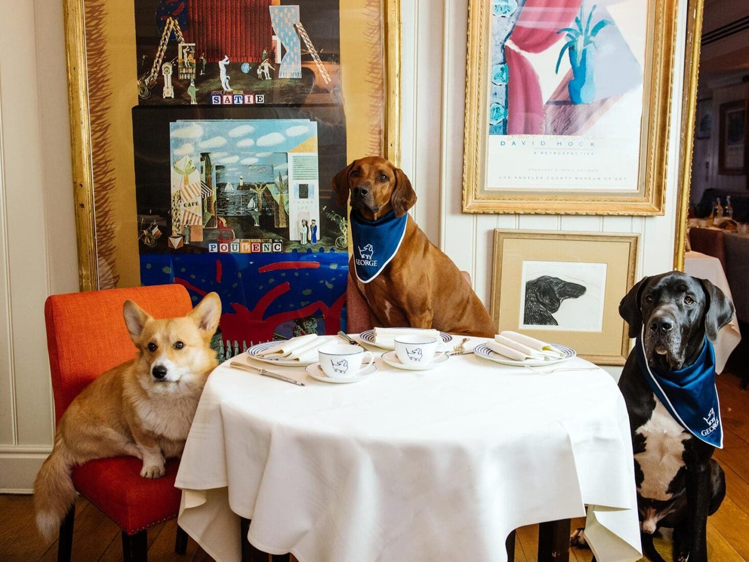 George Dog Committee