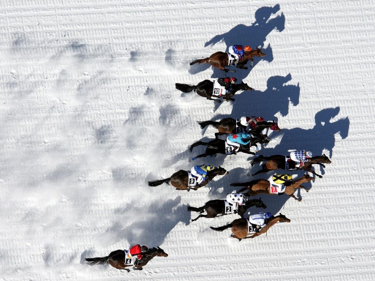 high society events 2022