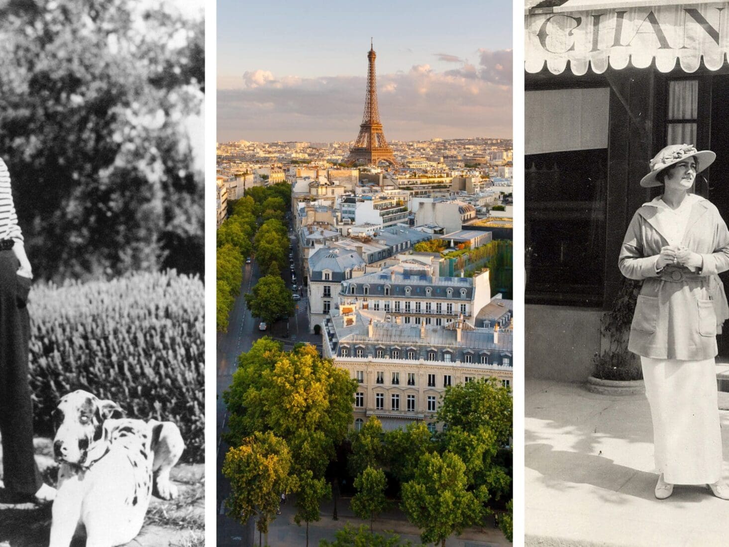 Living with Coco Chanel