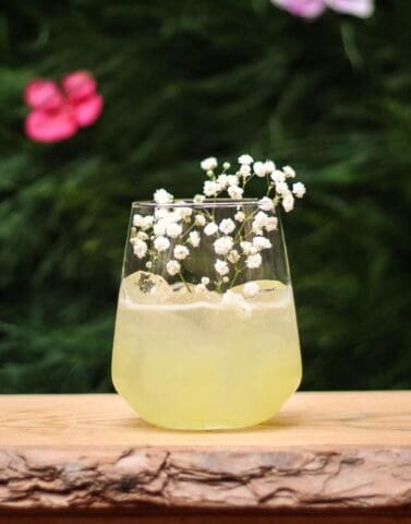 best non alcoholic spirits