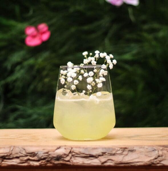 best non alcoholic spirits