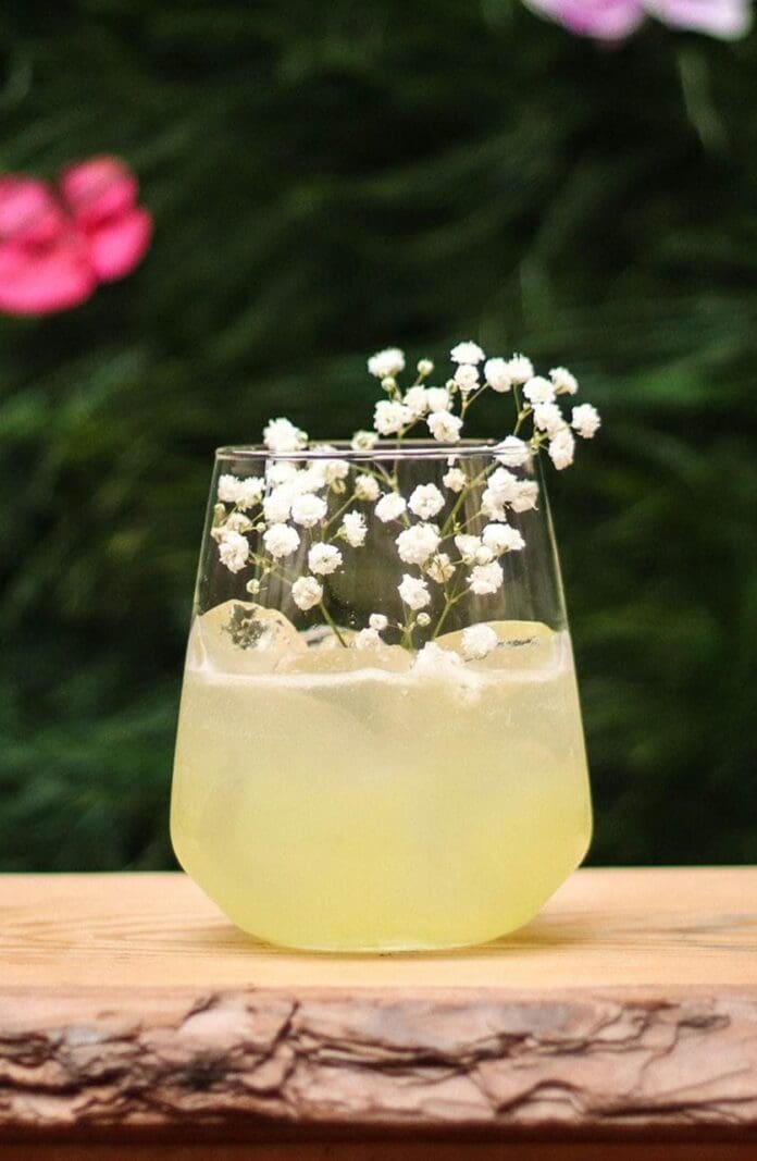 best non alcoholic spirits