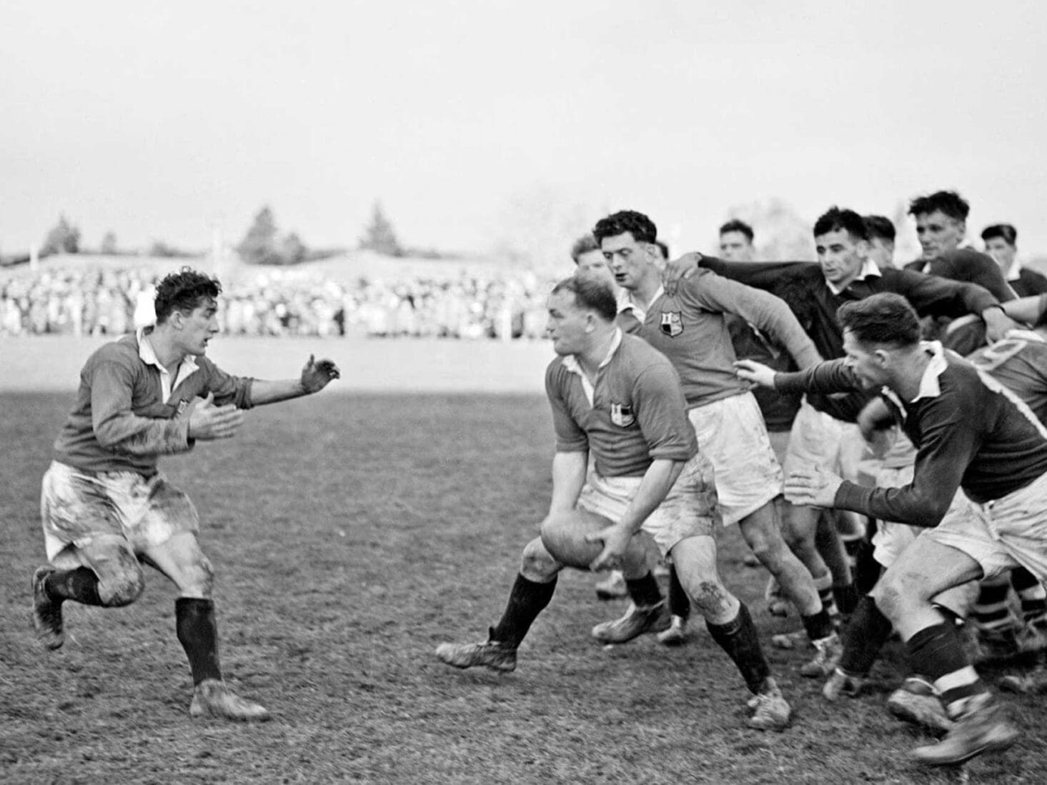 rugby shirts 2019