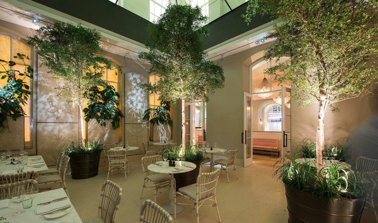 the salon at spring