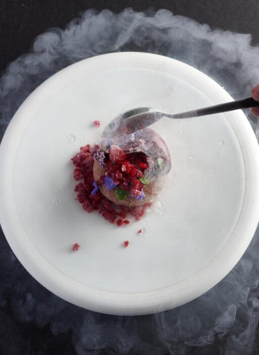 frog by adam handling