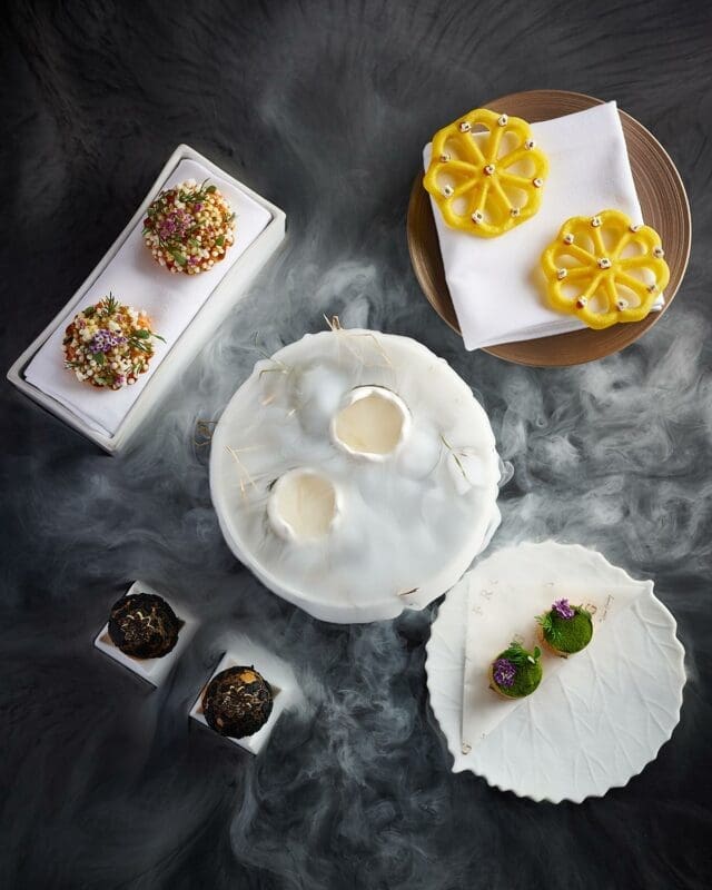 frog by adam handling
