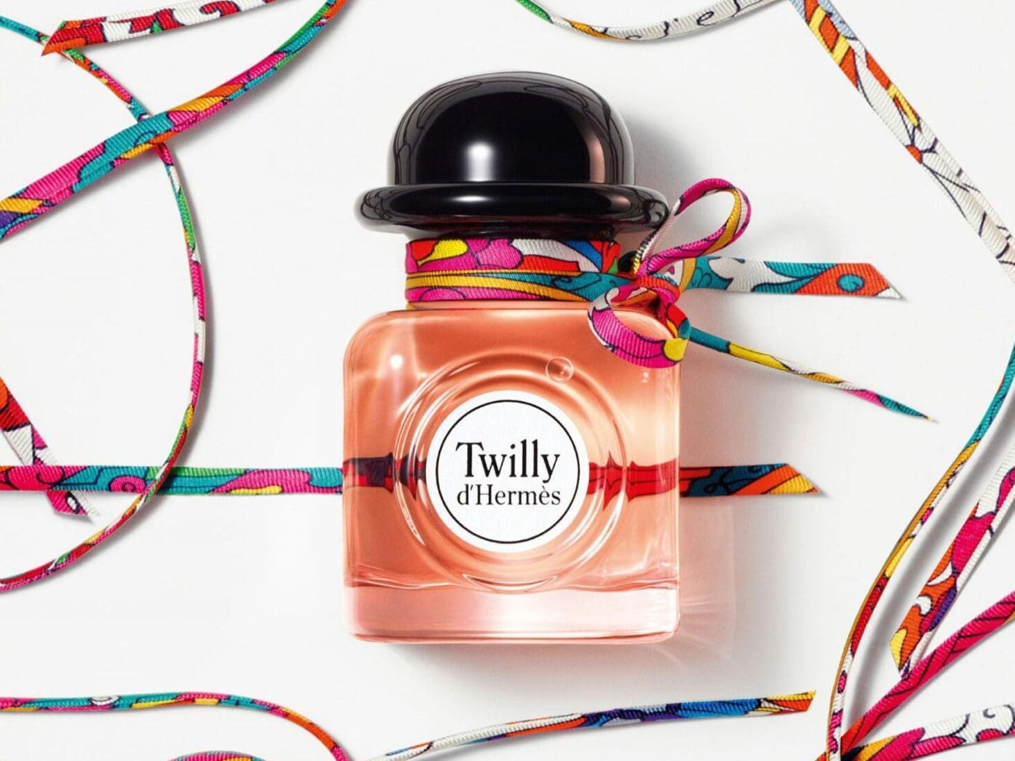 Twilly by Hermès