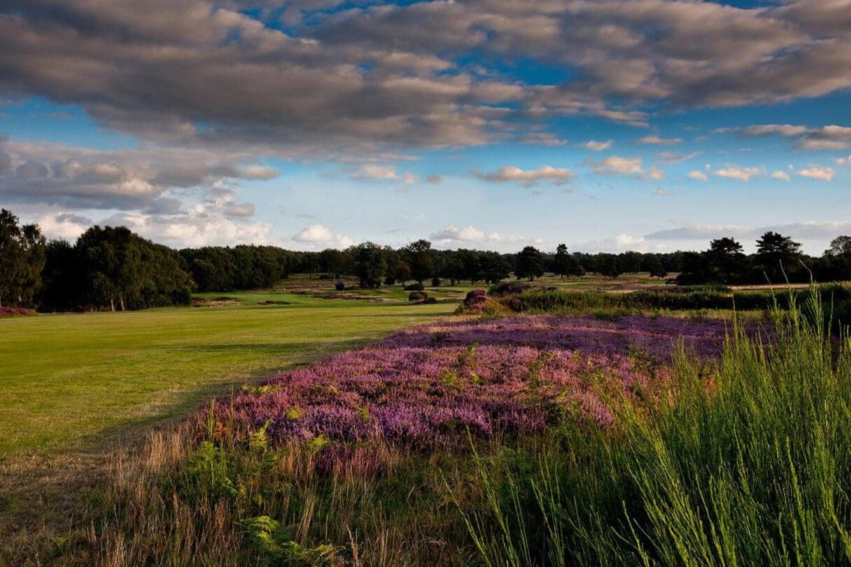 walton heath golf