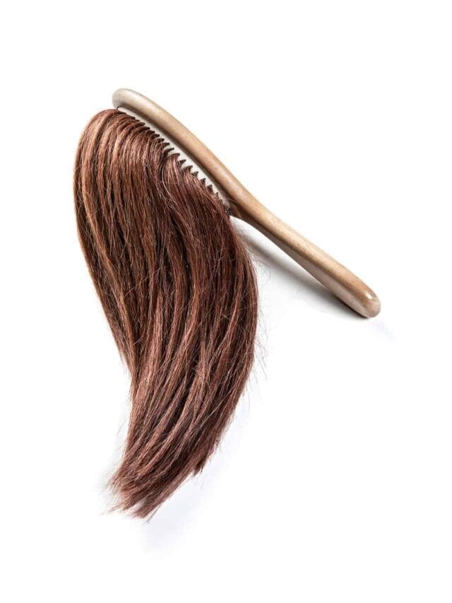 BLESSBeauty Hairbrush, 2019 edition of 1999 design, Bless, Beech; human hair.