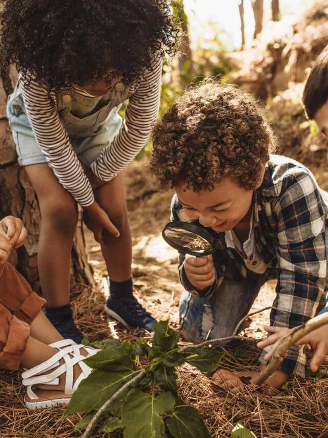 carrier childrens holidays