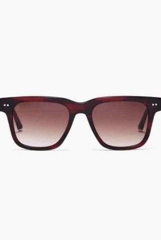 Taylor Morris Ladbroke Sunglasses
