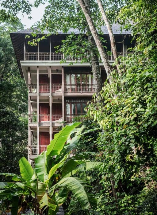 teh datai langkawi canopy collection