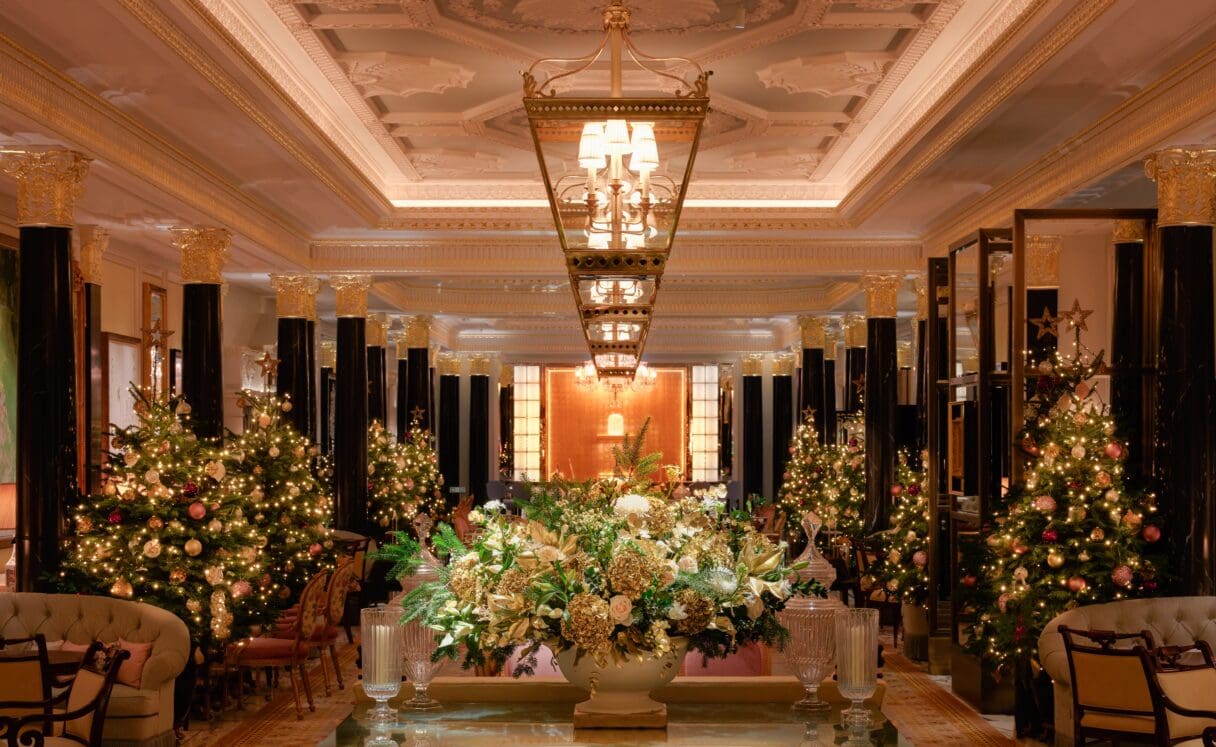 the dorchester festive
