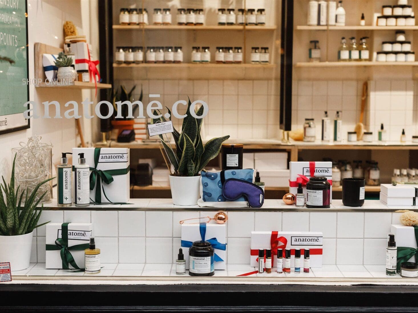 Anatome Marylebone
