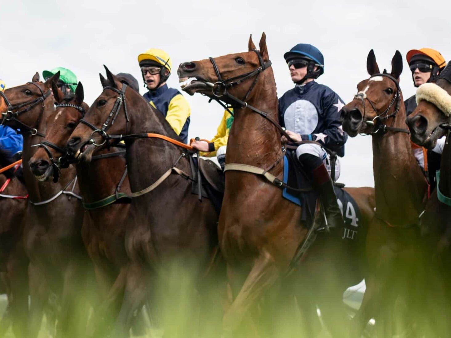 punchestown race festival