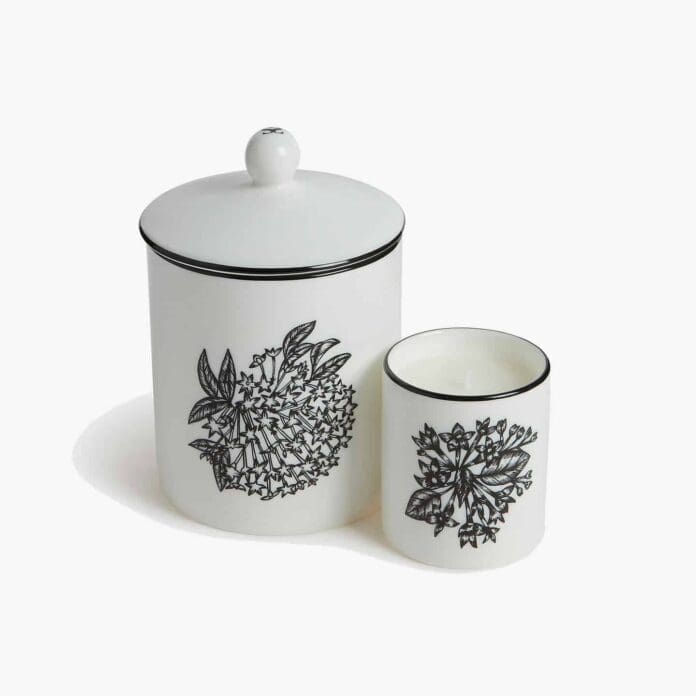 shaku queen of the night candle