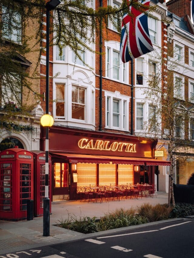 carlotta marylebone