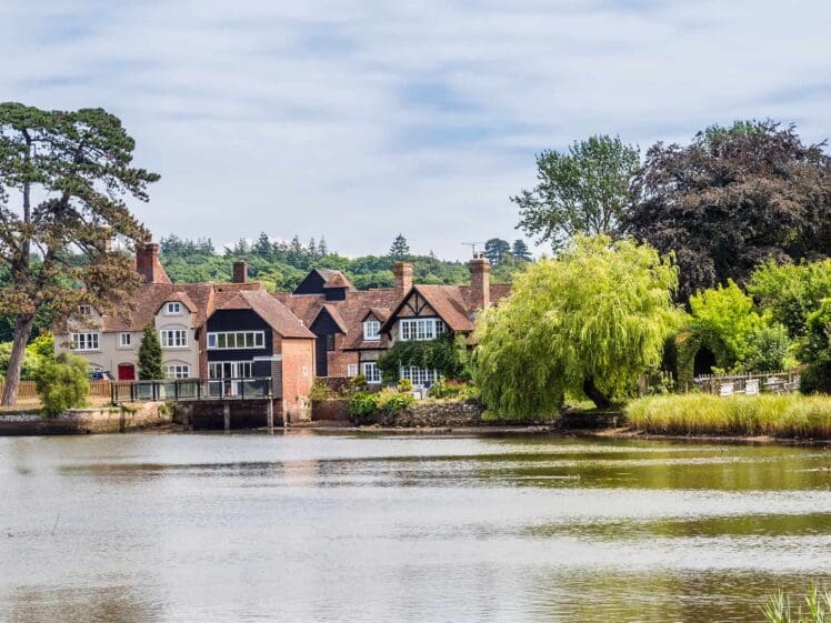 new forest hampshire