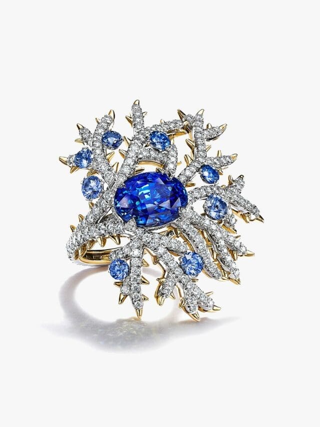 tiffany blue book 2023 thorn ring