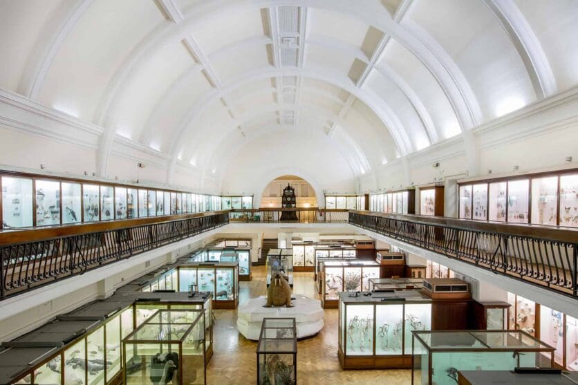 horniman museum