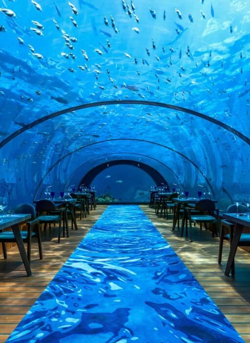 hurawalhi 5.8 undersea restaurant adults-only hotels Maldives