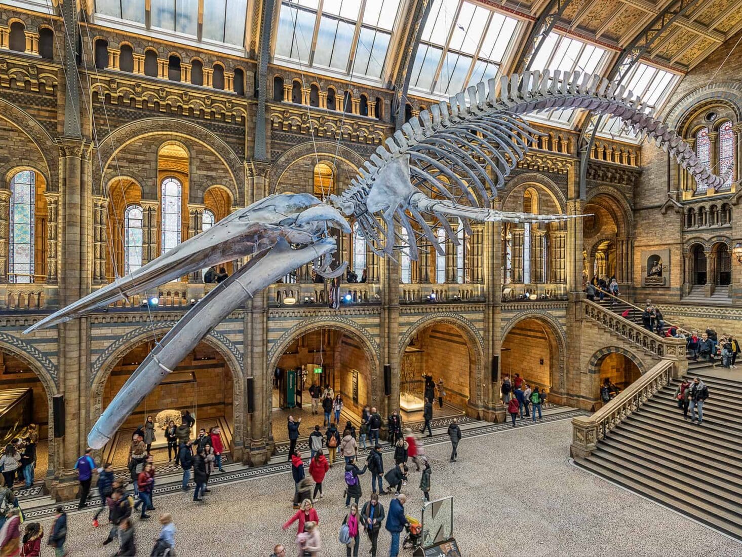 natural history museum