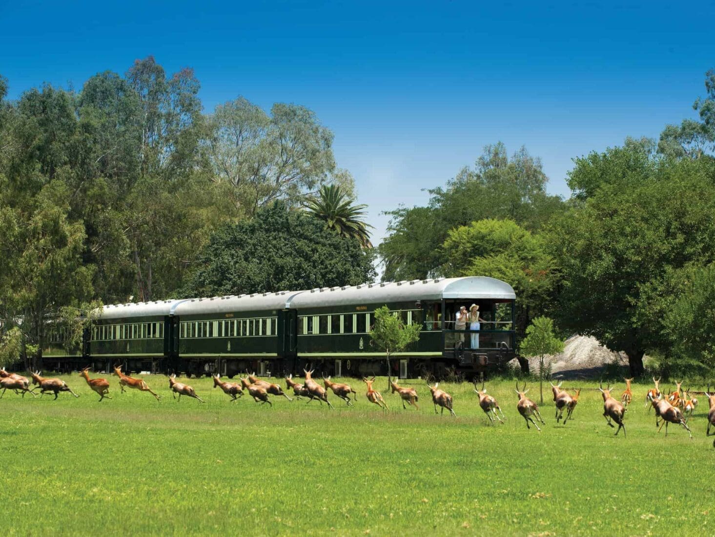 rovos rail