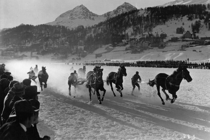 st moritz snow horse racing