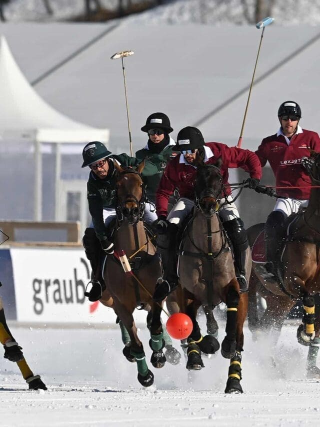 st moritz snow polo 2023
