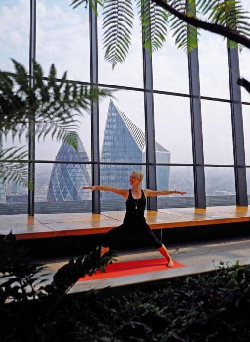 yoga sky garden