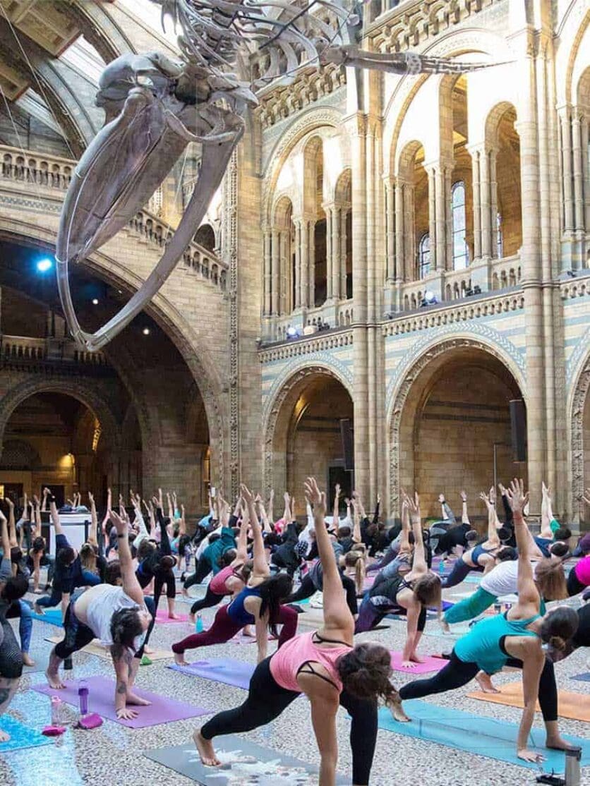 natural history museum yoga