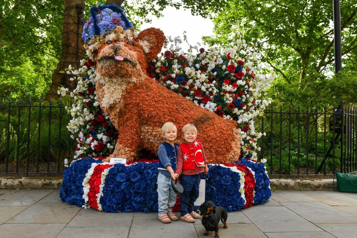 chelsea in bloom