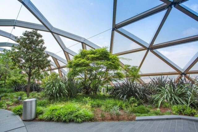 crossrail roof garden canary wharf