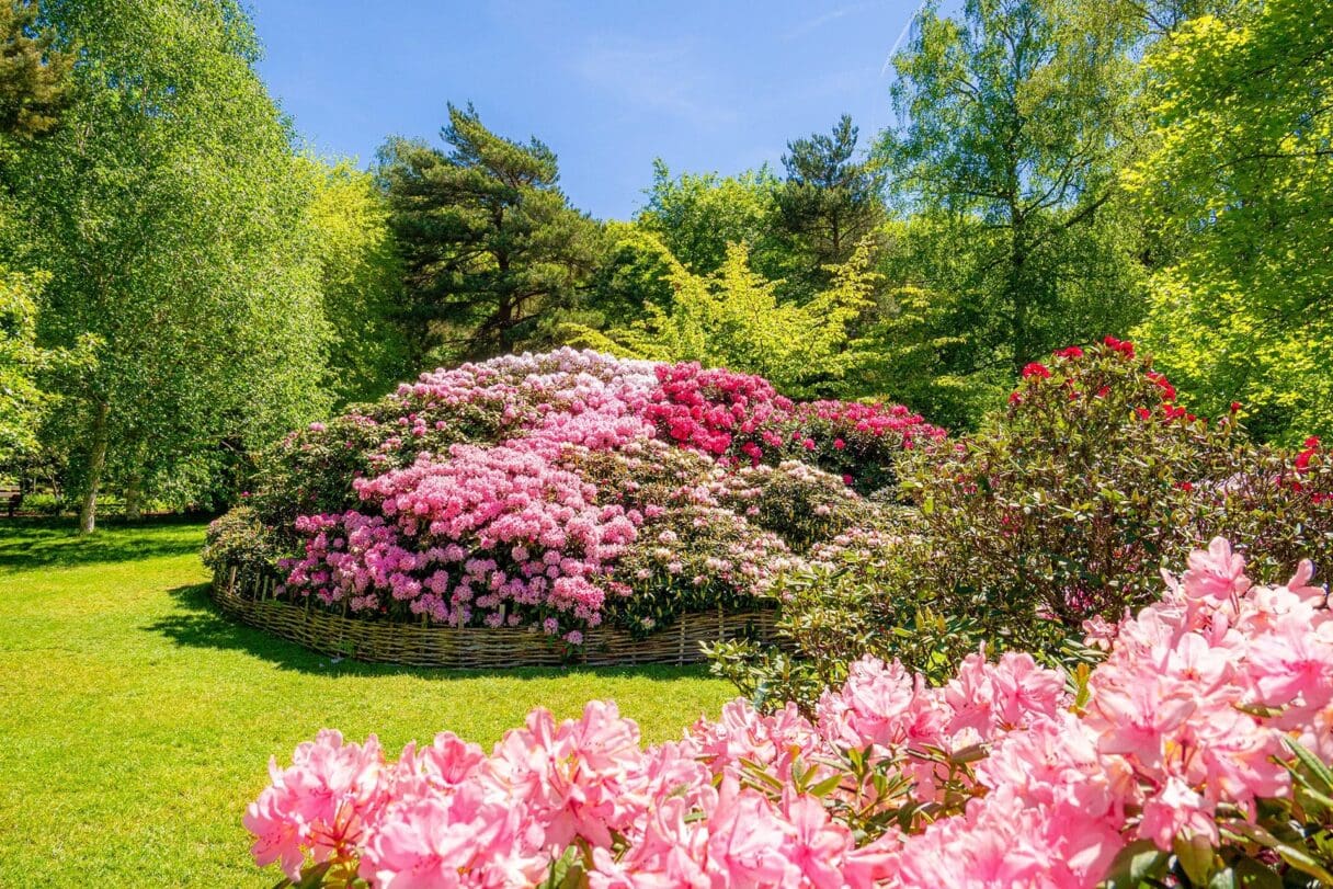 isabella plantation richmond green spaces London