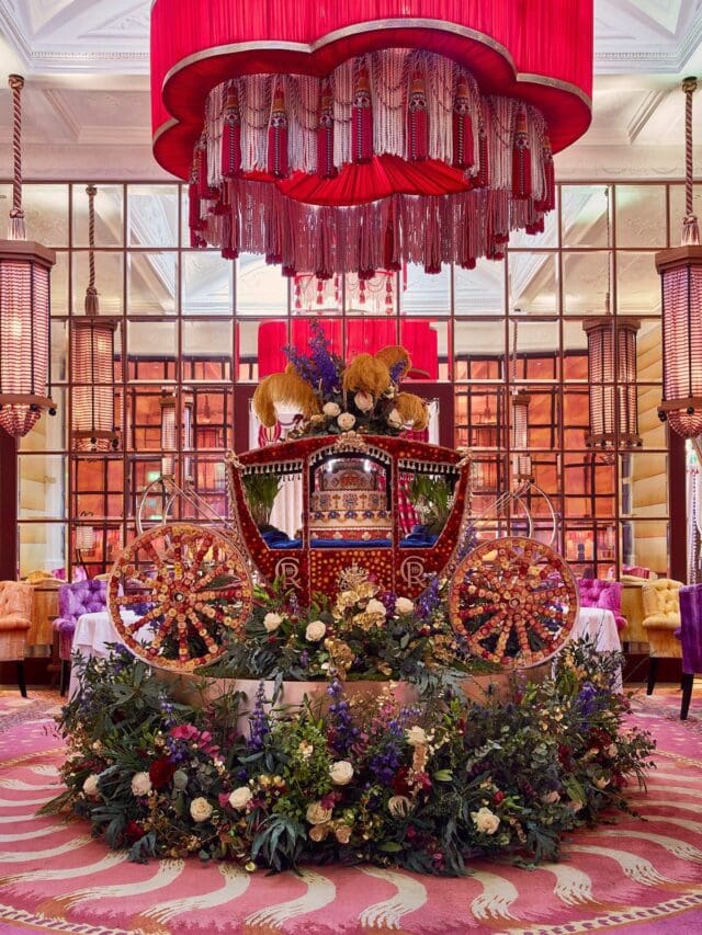 sketch mayfair in bloom 2023